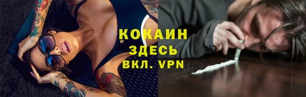 прущие грибы Абинск