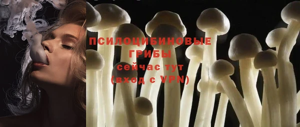 прущие грибы Абинск