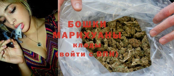 прущие грибы Абинск