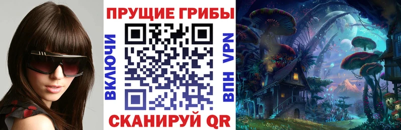 что такое   Судогда  Псилоцибиновые грибы мицелий 